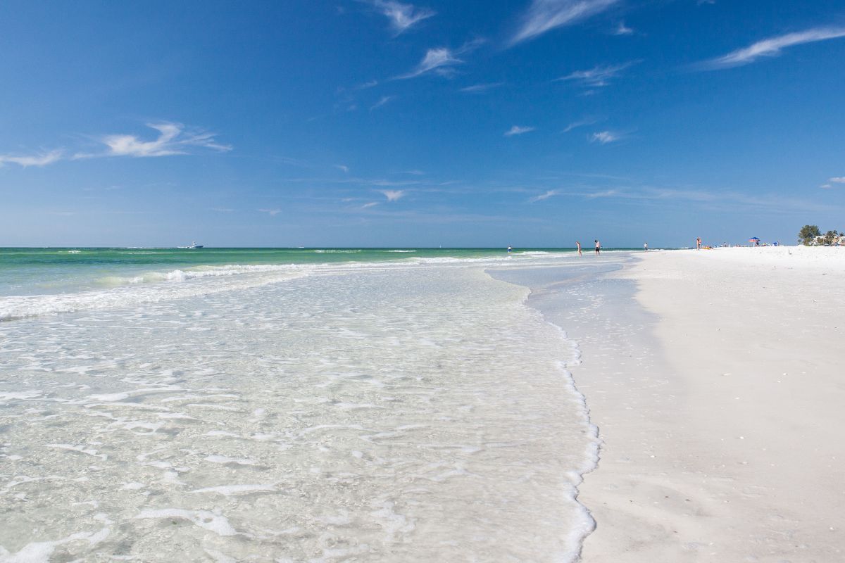 10 Amazing Things To Do In Siesta Key Worth The Money