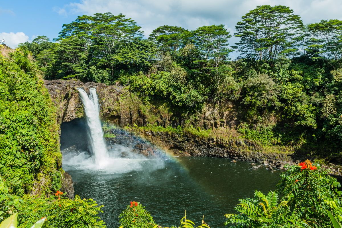 5 Amazing Things To Do In Hilo Worth The Money