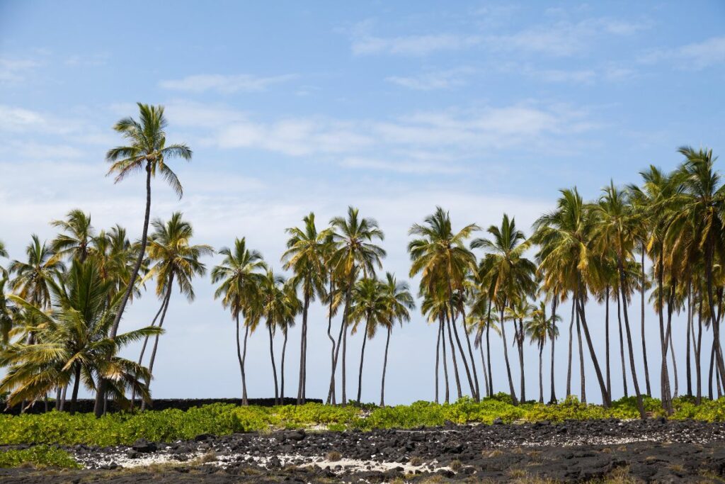5 Amazing Things To Do In Kona Worth The Money Travel Junkie Julia