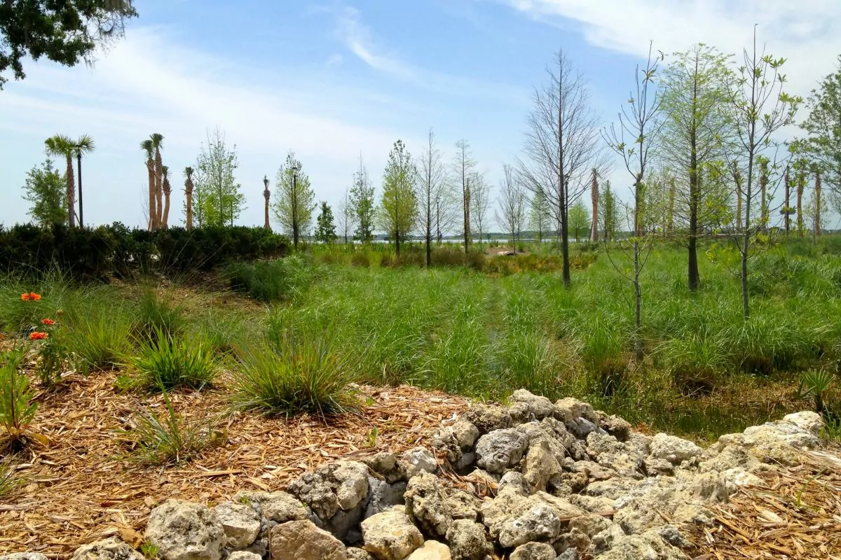10 Amazing Things To Do In Kissimmee Worth The Money 10 Amazing Things To Do In Kissimmee Worth The Money