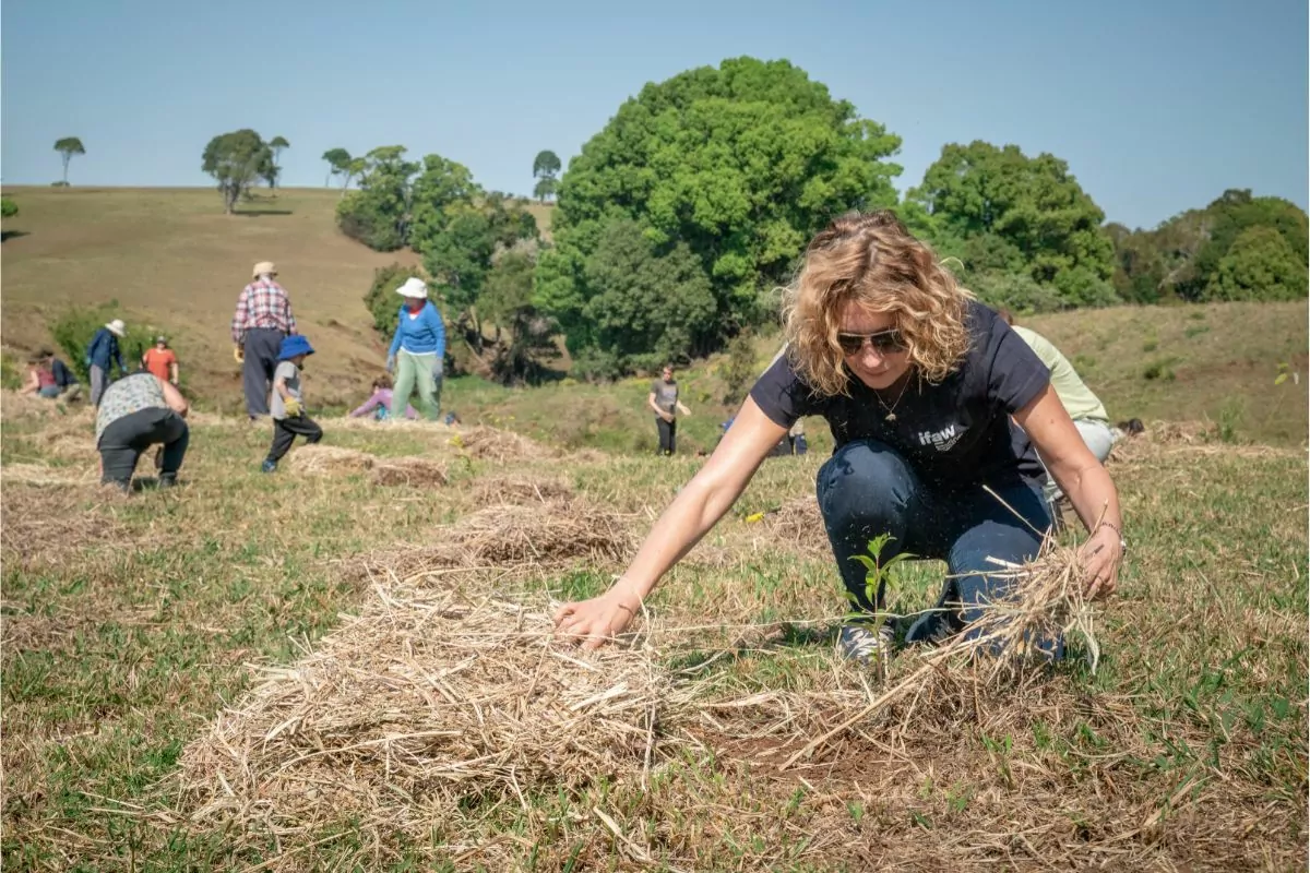 10 Awesome Volunteering Vacations In The United States